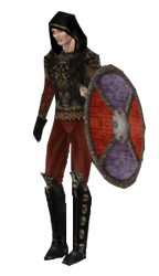 Human wearing Confessor armor