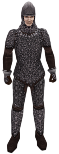 Scalemail wiki.png