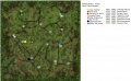Thumbnail for version as of 01:00, 9 January 2020